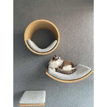 벽고정 캣선반 고급 북미 호두나무 거실 DIY 계단 캣워커, H 3종 애쉬그레이2
