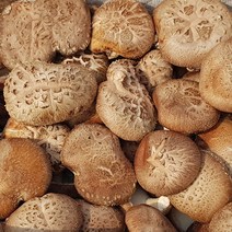 에스 ND 고씨네 생표고버섯 육수용1 kg, 우리홈마트 1, 우리홈마트 본상품선택
