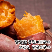고당도 꿀고구마 풍원미 당근 고구마 당근호박고구마 베타카로틴, 상중 5kg, 1개