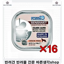 비숑사료추천 쳐진 강아지기호성좋은간식웰시코기사료추천 반려견사료