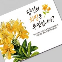 그레이스 엽서전도지_1-2 당신의 희망은 무엇입니까?, 500매