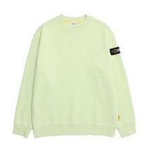 정품 내셔널지오그래픽 N224USW901 스탠다드 벨룩스 세미 오버핏 기모 맨투맨 티셔츠 FOAM GREEN GREENㅍ