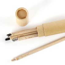 지관필통 n 싹이나는 씨앗연필 세트 인테리어 화분 키우기쉬운 거실 미니 실내, 나팔꽃