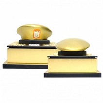 베레모 군인 군용 감사패 진급패 상패 전역선물, 골드(부식판추가)