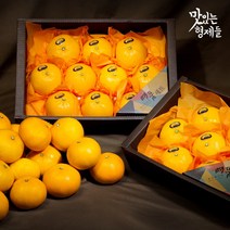 깨비농원 제주 한라봉, 1box, 한라봉 4.5kg 중과(16-20과)
