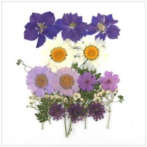 [바보사랑] 압화종합팩(K103), 상세 설명 참조