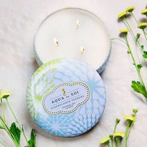 MAW451E61 아로마 와이드틴 candle 소이 오일 Company Soi USA 595g 캔들 soy 향초 틴케이스 캔들류, 영도매 발리티크