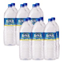 지리산 산청 샘물 화이트 생수 2L 12개입