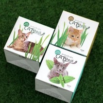 꿈쟁이 원형 저면관수화분 고양이 헤어볼 캣그라스 키우기 캣잎 밀 귀리.꿈쟁이, 상세설명 참조, 상세설명 참조