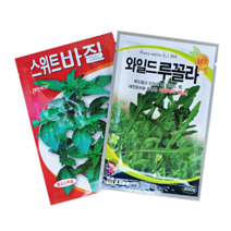 스위트 타이 바질 와일드루꼴라 씨앗