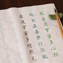 장서 붓글씨첩 입문 모사 성인 초보자 글씨 서예모-133753, 옵션27, 백지약초 12종세트 (8종세트 2색 새붓 2병 채묵)