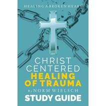 (영문도서) Christ-Centered Healing Study Guide Paperback, Vision Group, Ltd, English, 9781951648084