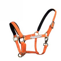 말고삐 승마 장비 가죽 홀스빗 굴레 재갈 레이싱 훈련, 브라이들 M 미디엄 블루 PVC