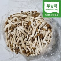 갈색만가닥 버섯 벌크 2kg 4kg 8kg 무농약 당일작업, 1개