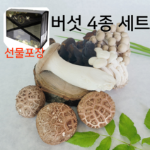 국내산 자연산 버섯 표고버섯 새송이버섯 만가닥 목이 송이 명절 설 부모님 선물세트, 가정용 4종 버섯세트