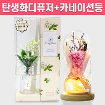 탄생화 디퓨저 선물 세트 11월 탄생화 초롱꽃 + 카네이션 무드등 여자 친구 여사친 언니 선생님 부모님 어버이날 생일선물 집들이선물 실내 디퓨저 실내 방향제 디퓨져, 레몬그라스, 핑크, 300ML