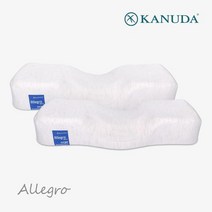 가누다 블루라벨 알레그로 모달 2세트(베개2개), BL(M)(M)