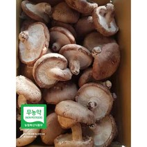 산지직송 예산표고버섯 못난이 생표고버섯 가정용으로 추천 다시용 가루용 대량용 육수용 김정용 식당용 건조용 농장직송, 못난이-15kg