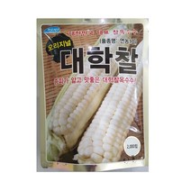 대학찰 2000립 오리지널 찰옥수수 대포장 옥수수씨앗, 1개
