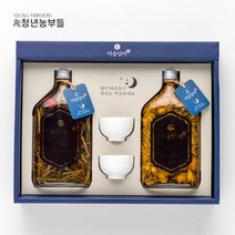 청년농부들 담금주키트 온마음담아 2종 선물세트 500ml x 2 양주병, 단품