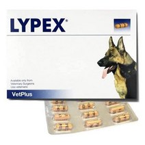 벳플러스 VetPlus 강아지 영양제 Lypex 60캡슐, 상품선택