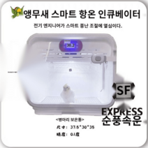 펫드라이룸 강아지 드라이기 반려동물 털말리는 기계 반려견 고양이, 화이트