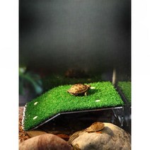 거북이 일광욕 반수생 산책 바닥채 터들 은신처 계단, 소형 아치교 발코니+먹이