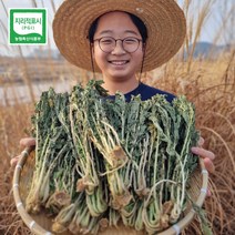 23년 플즈마켓 강원도 양구 펀치볼 무청 시래기 1kg, 1개