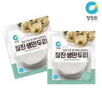 베스트식품 종가집 찰진생만두피 270g x9개, 단품