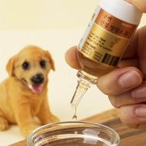 종합[무지조타] 강아지영양제 종합 유산균 관절 눈물 눈건강 흡수빠른 고농축액상영양제, 굳쎈관절영양소