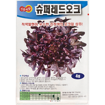 슈퍼레드오크 상추씨앗 4g