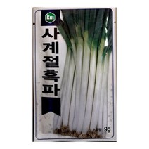사계절흑파씨앗 9g 대파씨앗 노균병강품종