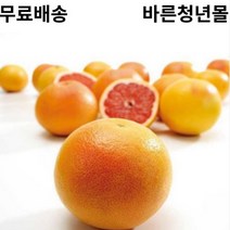 고당도 다크 레드 자몽 이스라엘 남아공 미국, 4.2kg / 대과 / 12과