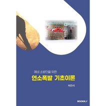 연소폭발 기초이론, 박찬석 저, BOOKK(부크크)