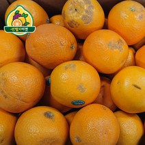 [자몽15kg] 썬밸리마켓 못난이 오렌지 레몬 자몽 대용량 15kg, 1box, 못난이 자몽 15kg