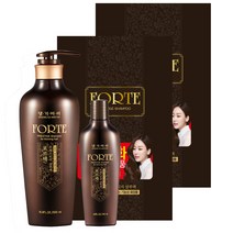 댕기머리 포르테프레스티지 한방탈모 샴푸 645ml 2개, (500ml+145ml) x 2개