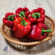 국내산 홍피망 상 10kg 5kg 백산상회, 1박스