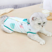 부투펫 삼색이 환묘복 2개, 그린+그린