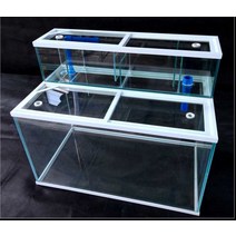 업소용수족관 대형 수조 어항 횟집 아크릴, 1000x500x500 (10mm 외부 필터)