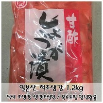 생강초절임 일제 적초생강 1.2kg 초생강 토핑, 1, 1200g