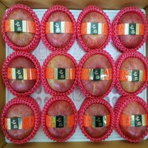 [ 고당고 꿀사과 품질보장제 ] 가정용 선물용 할인판매행사중, 09. 선물용 사과 / 중대과 10kg, 선물용 / 중대과 10kg