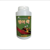 자체브랜드 팽이 싹(500g)