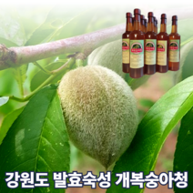 국산 토종 강원도 홍천 돌복숭아 효소 개복숭아 액기스 엑기스 진액 숙성액 발효 원액 즙 복숭아청 숙성 물에 타먹는 쥬스 액상 750ml, 개복숭아 액기스 750ml 2개