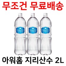 아워홈 지리산수 2L X 12병