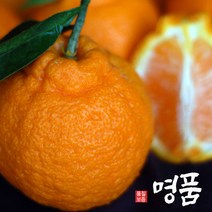 품질우량 제주한라봉, 1박스, 10kg 특대과(20~32수)