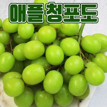 오톰크리스피 애플청포도 씨없는포도, 5kg내외