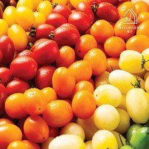 [웰굿] 4계절 칼라방울토마토 1kg(대), 단품