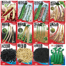 콩씨앗 완두콩 채두 흰 적 검정 강낭콩 작두콩 서리태 호랑이 넝쿨 콩 씨앗 종자, 흑동부콩