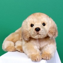 맥스토어 위더펫 강아지 고양이 호랑이 애착 동물 캐릭터 인형, 01.위더펫-골든리트리버(라잉)