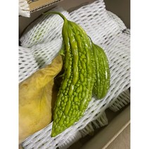 생여주 500G 2023년 여주 고야 비터메론, 생여주(1KG)